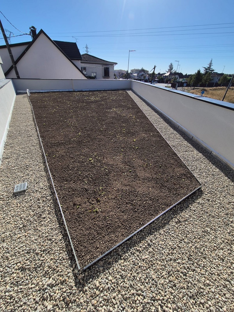 Toiture plate végétalisée : avantages et protection