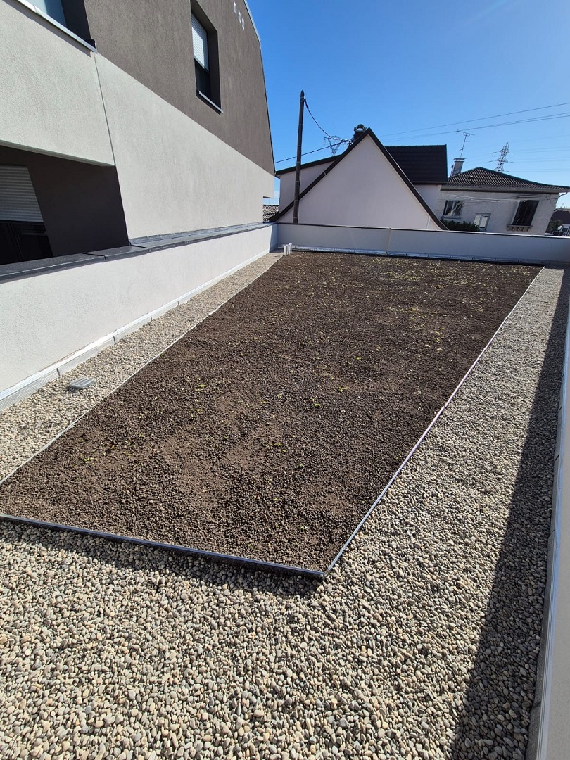 Toiture plate végétalisée : avantages et protection